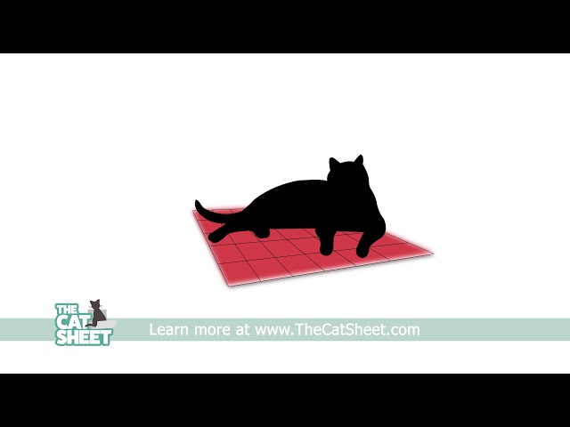The Cat Sheet | Take the cat nap to the next level!