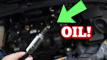 Spark Plugs Have Oil On Them