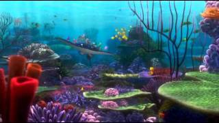 Canto A Las Especies - Buscando A Nemo
