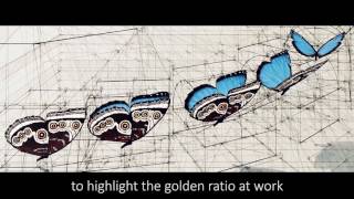Download Golden Ratio Coloring Book By Rafael Araujo Youtube