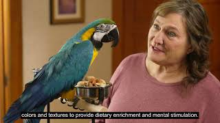 Kaytee Fiesta Natural Macaw