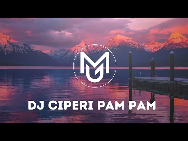 DJ CIPERI PAM PAM | VIRAL TIK TOK‼️ class=