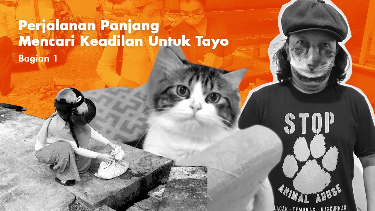 Perjalanan Panjang Mencari Keadilan Untuk TAYO (Bagian 1)