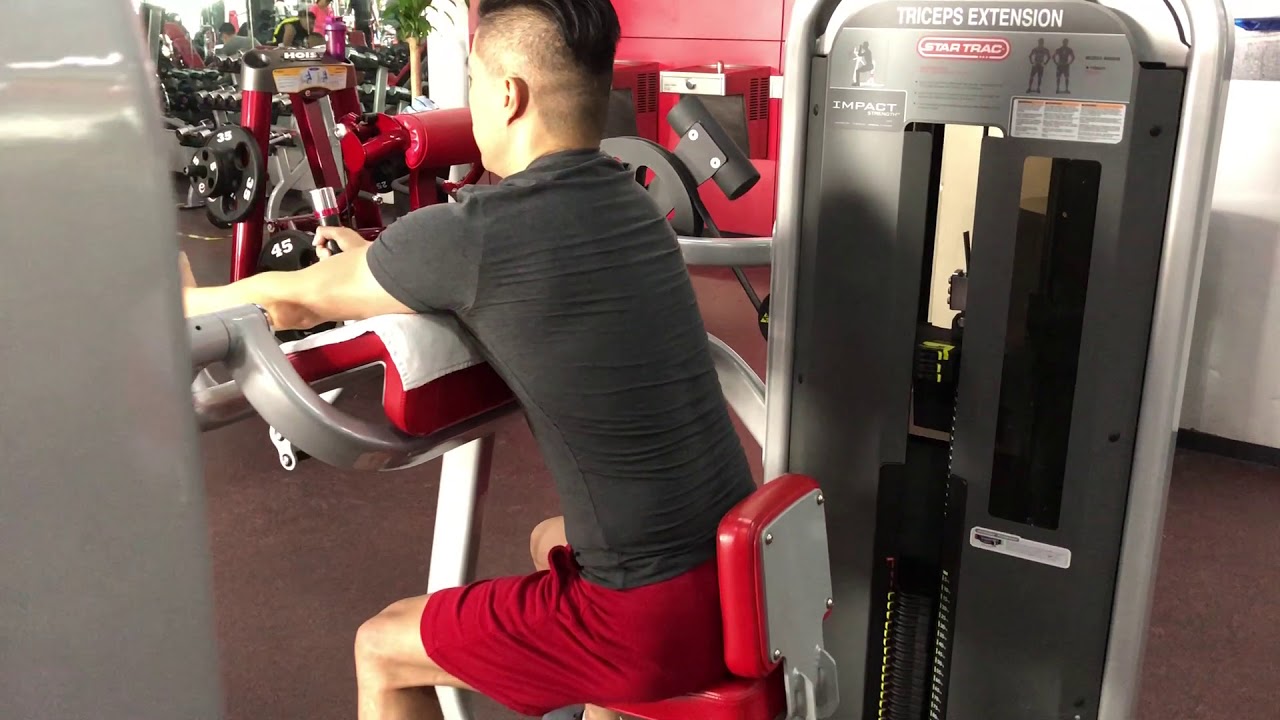 Triceps Extension YouTube