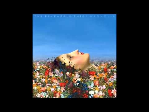 The Pineapple Thief - Magnolia