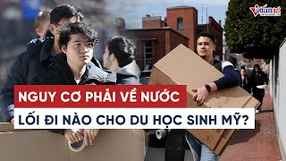 Du học sinh Mỹ đối măt với nguy cơ phải về nước? | Tin tức Vietnamnet