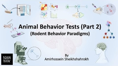 Animal behavior test (part 2) Rodent Behavior Paradigms