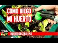 Cómo regar el huerto. Qué cantidad de agua y Cuándo regar - #huertodecero Ep.8