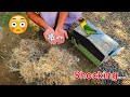 Unboxing African Lovebird&#39;s Breeding Cage | Unbelievable...!!