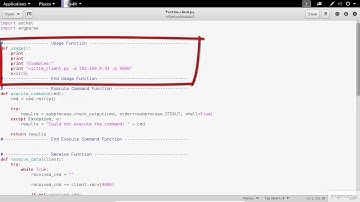 Network Penetration Testing |Developing the Client application