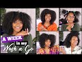 A WEEK IN MY WASH AND GO/FRO!