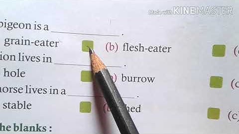 SUBJECT: SCIENCE      TOPIC: