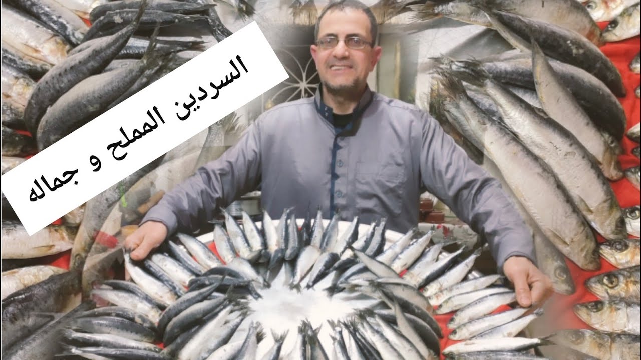 خبرة 70سنة🥰 في تصنيع الفسيخ و السردين المملح👌 مش هتبطلي تعمليه في البيت 😍