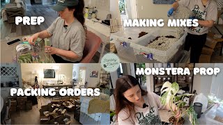 Running a Plant Shop From Home | Lots of Prep, Packing Orders & Monstera Albo Propagation 🪴