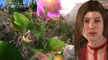 Iclone 7.9 Acculips Flowscape Character Creator 3.4 Downloads & Tutorials Blender C4D 3ds Max 1080p