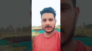Vermi Compost Bed Banane Se Pehle Gobar Ko Kaise Thanda Karen?#Vermicompost#OrganicFarming#Shorts