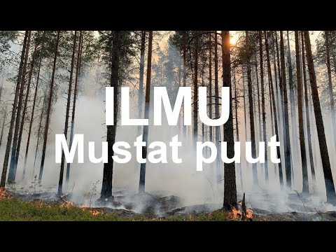 Video: Je, ni ripoti ya IOM kuhusu mustakabali wa uuguzi?