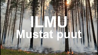 ILMU - Mustat puut (LIVE in Kossalmi)