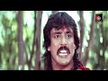 Chinna Durai Periya Durai |  Arun Pandiyan,Heera,Bhanu Chander | Tamil Superhit Action Movie HD Mp3 Song
