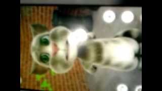 Tom Quadradinho De 8