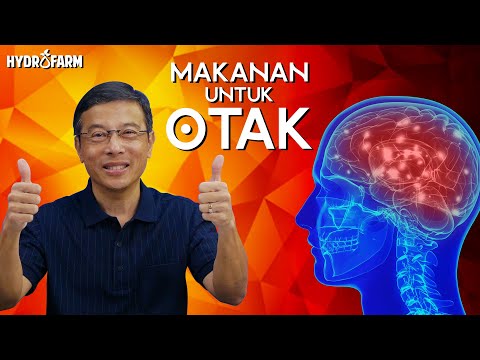 Video: Cokelat Apa Yang Baik Untuk Otak?