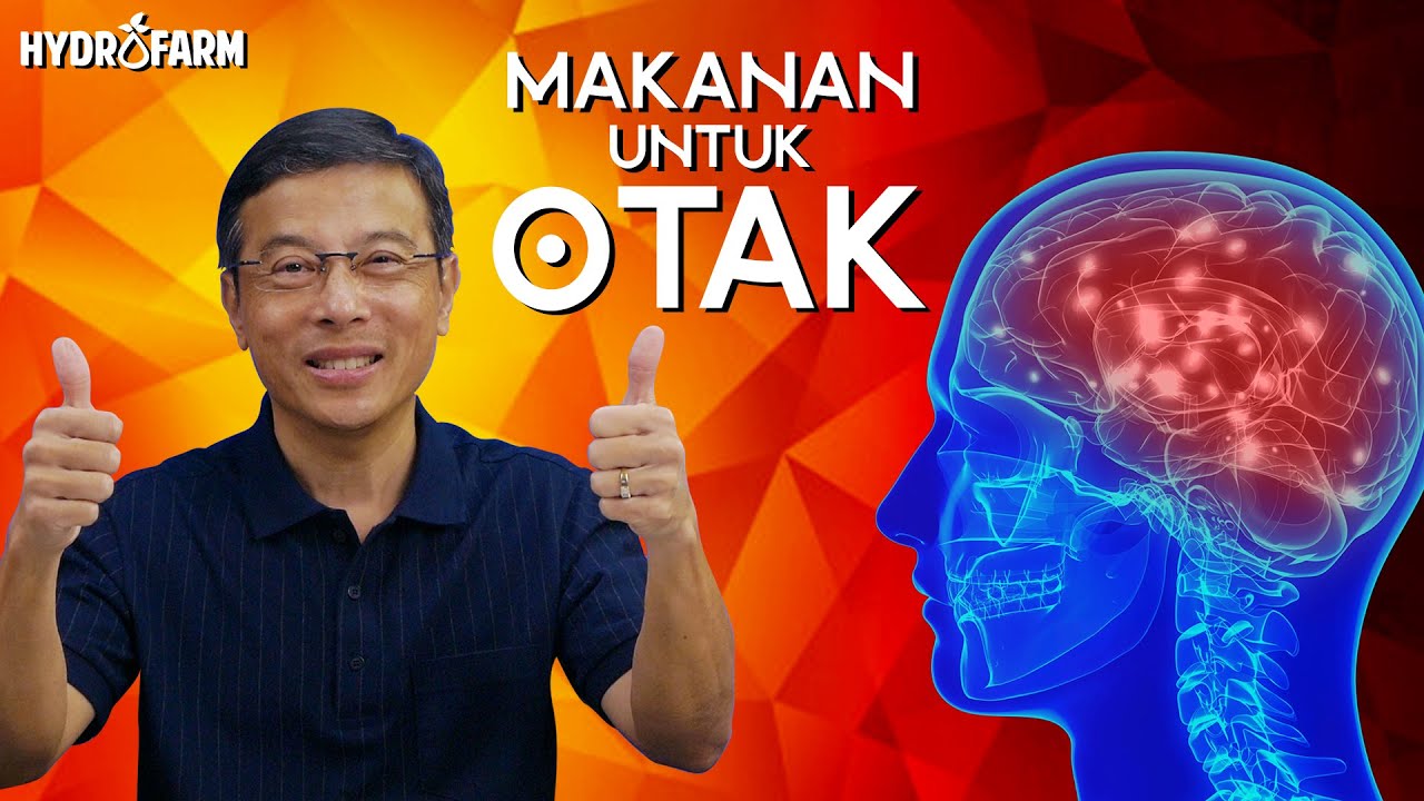 Brainfood ? Makanan OTAK ??