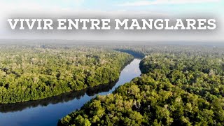 This is how you live in the highest mangroves in Mexico  La Encrucijada, Chiapas.