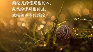 1080818【上山,禪修!】&悅讀《清淨道論》~報名中
