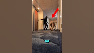 Top 5 Ding Dong Ditch Fails Ever Caught On Camera😜🤣 The Ultimate Compilation