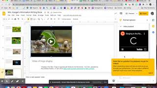 TTT: Google Slides Basics - Part 2