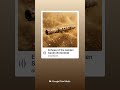 Ancient Arabic Music Echoes Of The Golden Sands 