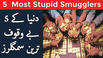Top 5 Most Stupid Smugglers in All History