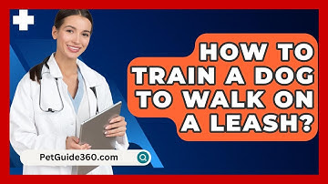 How To Train A Dog To Walk On A Leash? - PetGuide360.com