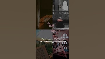 سورة الأنبياء (الآية ٦٦ - ٦٧) القارئ اسلام صبحي