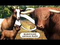 All new animals  scenery pieces  barnyard animal pack  planet zoo