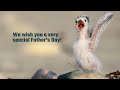 Happy fathers day from birdscaribbean