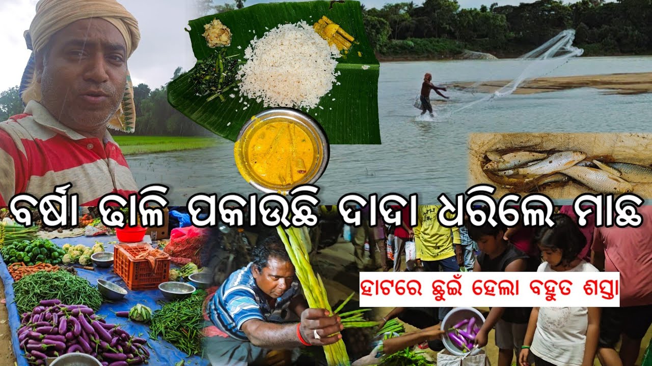 ବର୍ଷା ଢାଳି ପକାଉଛି ଦାଦା ଧରିଲେ ମାଛ l ହାଟରେ ଛୁଇଁ ନେଲେ ବୋହି ବହୁତ ଶସ୍ତା l Gouranga Nayak Odia Vlogs 