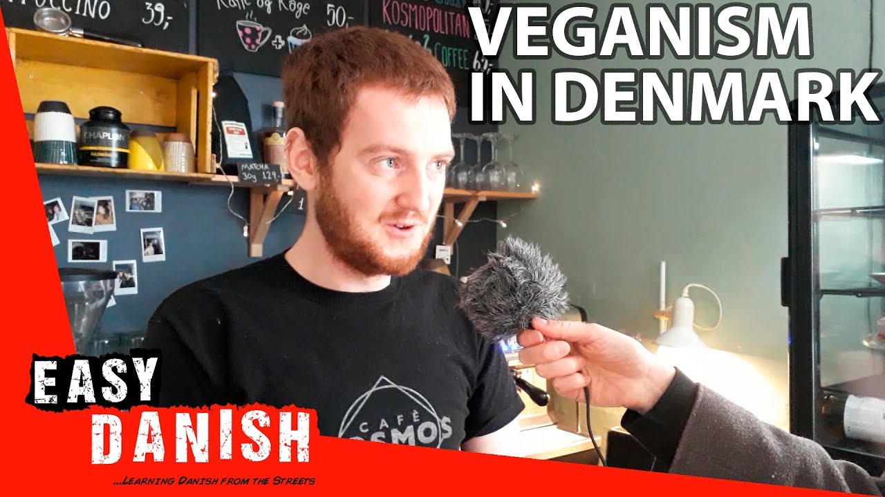 Veganism in Denmark | Easy Danish 14