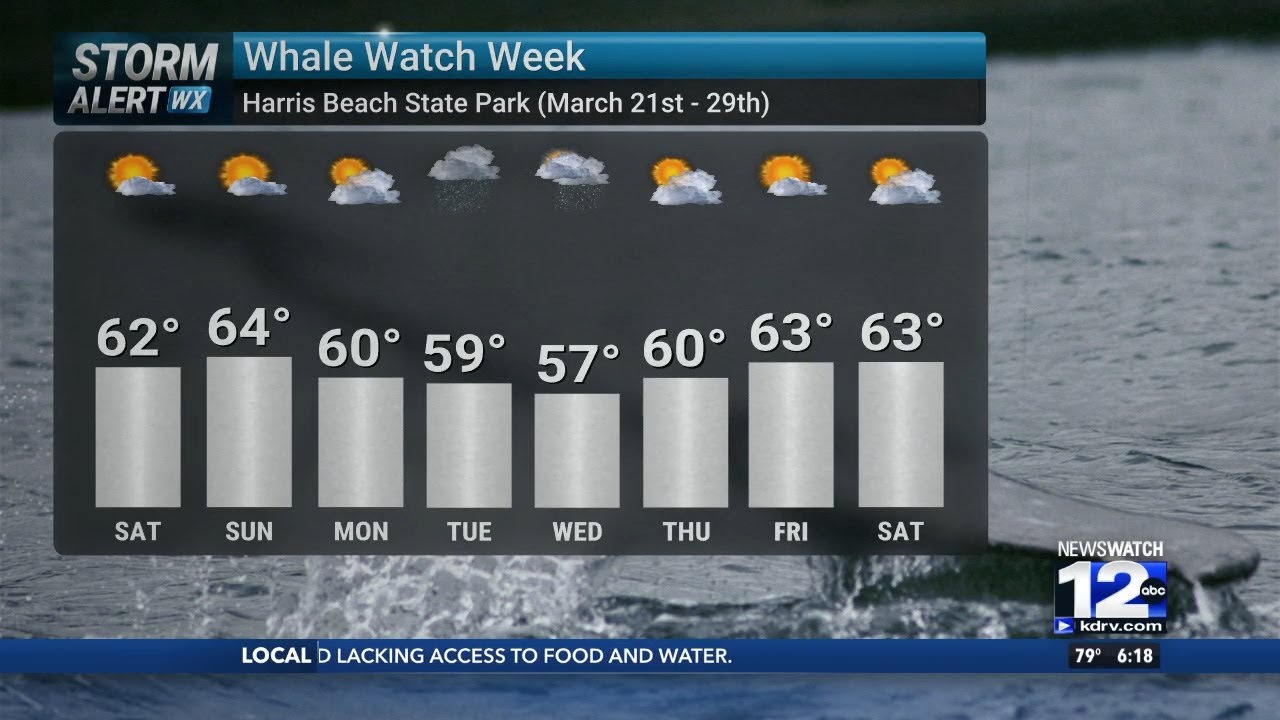Friday, March 20th Evening Weather - YouTube