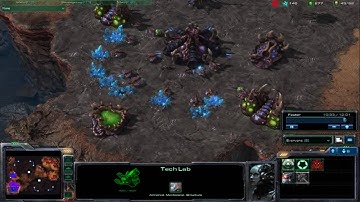 StarCraft 2 RageQuit - Sigh