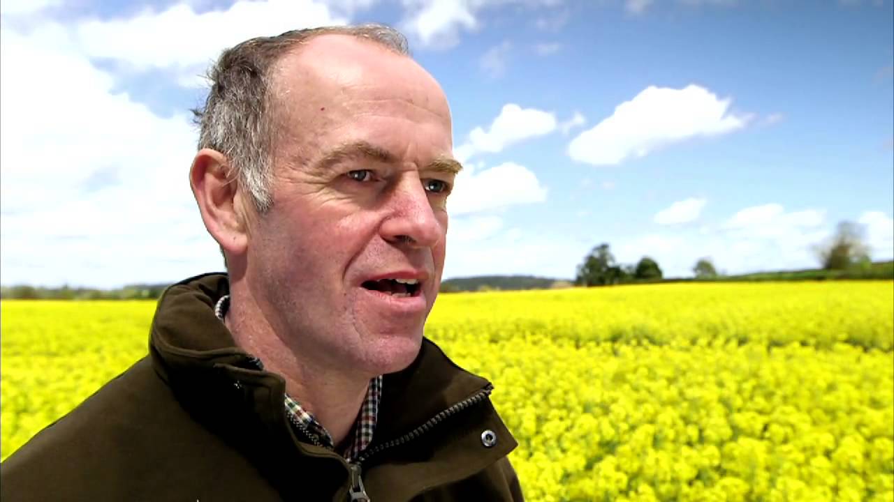 Growing Clearfield - the complete OSR system.