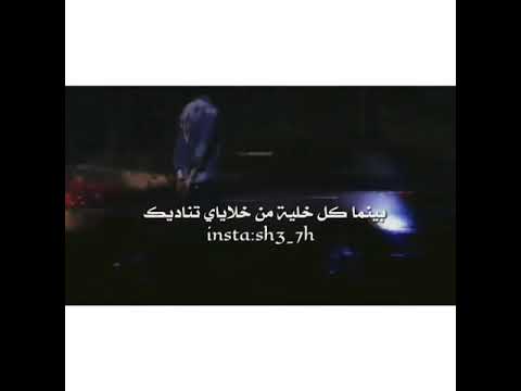 احبك ولكن لا احني رقبتي للحب مترجم تصاميم منوعة Shirin Hasan 