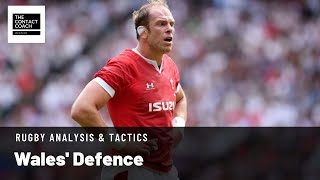 Rugby Analysis: Wales' Defence screenshot 5