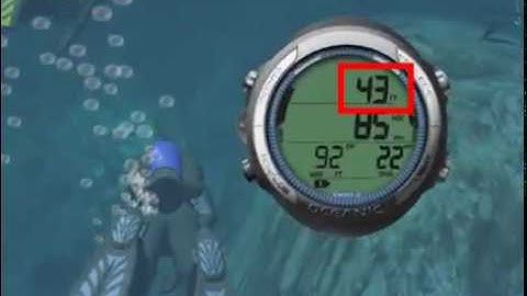 Oceanic Geo 2 dive computer - Online Class - m3s1