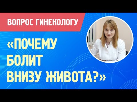 Почему болит низ живота у женщины? ВОПРОС ГИНЕКОЛОГУ #Shorts