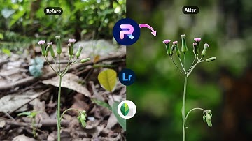 Mobile photo editing tutorial | blur image background | Lightroom color grading | PhotoRoom Edit