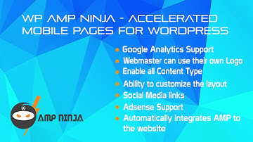 WP AMP Ninja - Accelerated Mobile Pages for WordPress | Codecanyon Scripts and Snippets