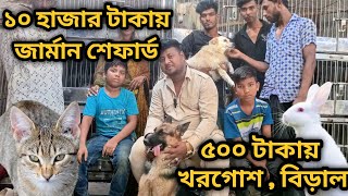 German Shepherd puppy price 2023| Mixed breed cat price| Rabbit price in bd| Dog farm in bangladesh