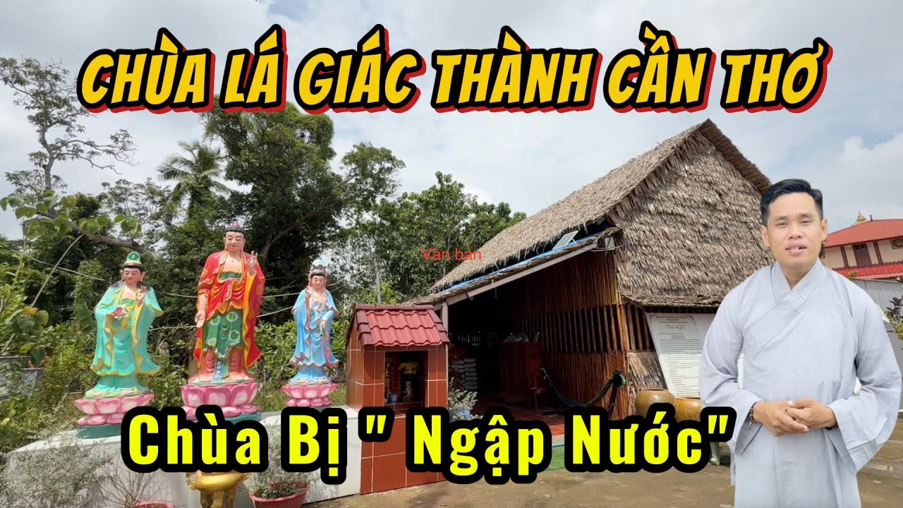 Chùa Lá Giác Thành ở Ô Môn Cần Thơ Bị Ngập Nước Cần Đắp Nền Chánh Điện | SaLaTV