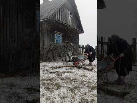 #топ5 #бабуля #петенька#хорошо
